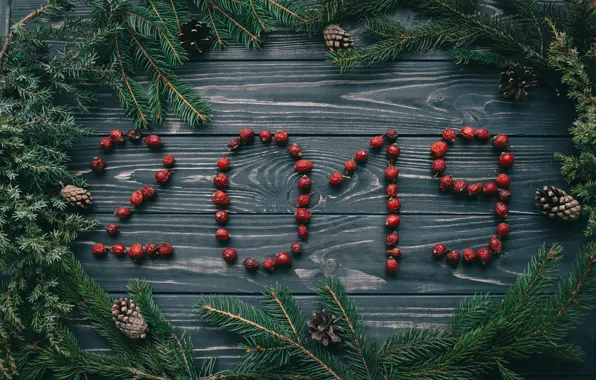 Berries, background, tree, New Year, Christmas, Christmas, wood, New Year