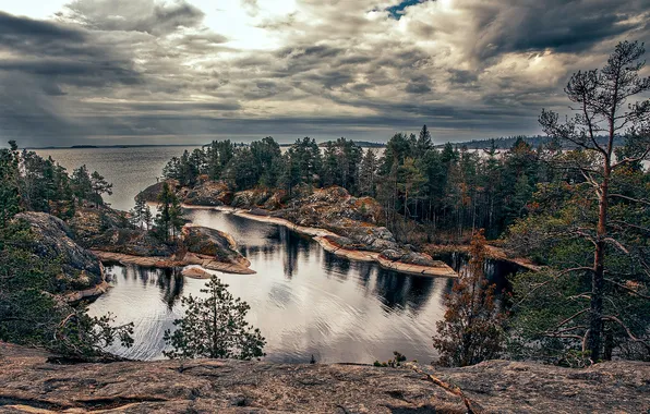 Trees, lake, horizon, trees, lake, horizon, Cape, the beauty of nature