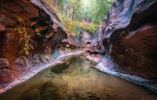 Nature, river, rocks