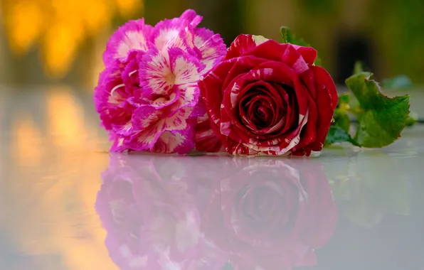 Leaves, light, flowers, reflection, table, pink, rose, a couple