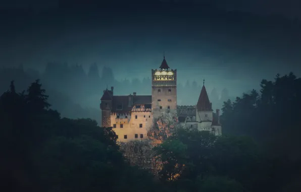 Picture forest, the sky, trees, night, architecture, Romania, Bran Castle