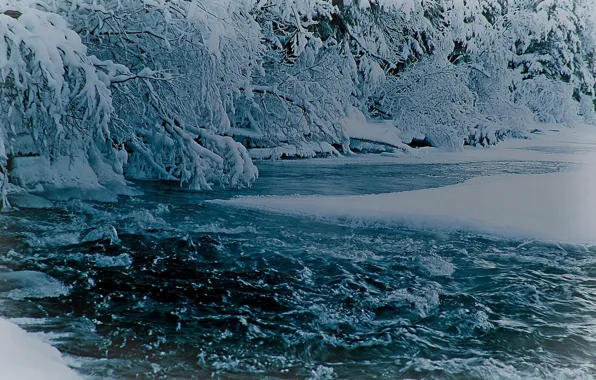 Picture winter, snow, river, beautiful