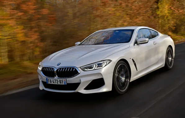 Picture white, foliage, coupe, BMW, roadside, 2018, 8-Series, Eight