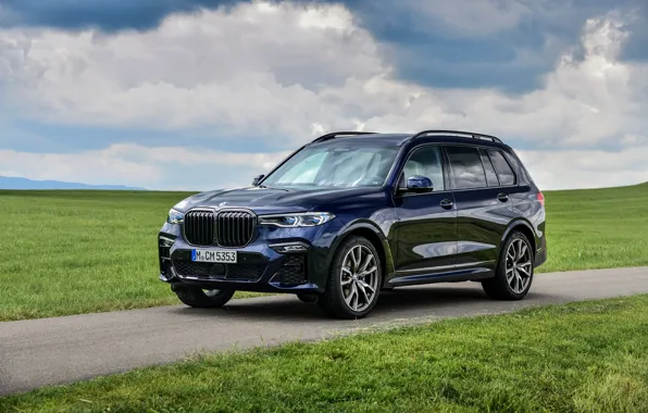 Picture lawn, BMW, crossover, SUV, 2020, BMW X7, M50i, X7