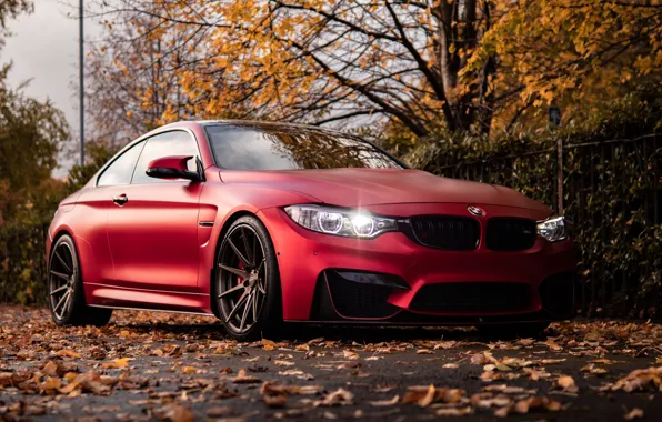 Red, Autumn, F82, Trees, M4