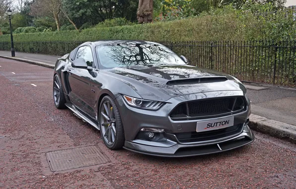 Mustang, Ford, 2017, Sutton, CS800