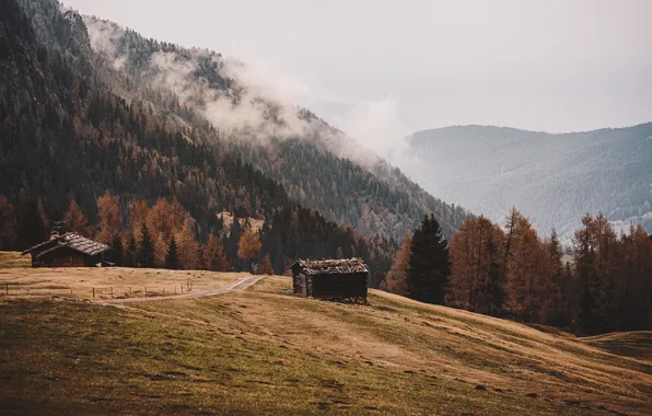 Field, autumn, forest, clouds, mountains, fog, overcast, the slopes