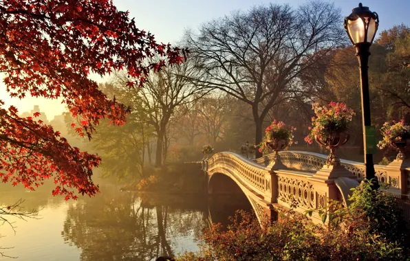 Autumn, landscape, bridge, Park, bridge, park, autumn, fall season