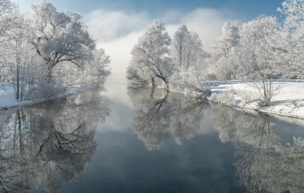 Winter, frost, trees, reflection, river, Germany, Bayern, Germany