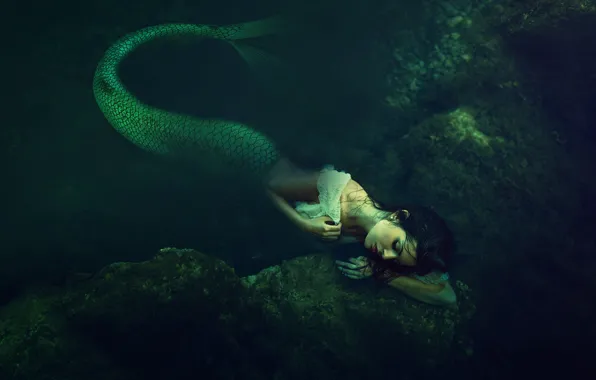 Picture girl, rendering, mermaid, tail, pond