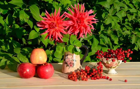 Red, Apple, still life, Kalina, dahlias