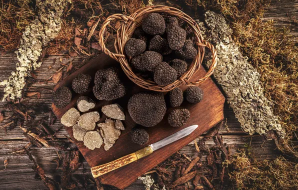 Mushrooms, moss, harvest, knife, bark, basket, truffles