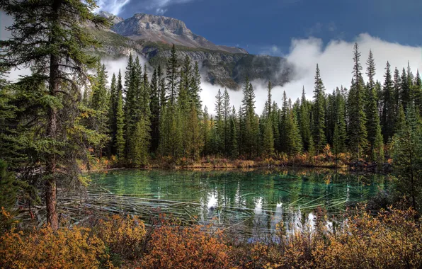 Picture photo, Nature, Mountains, Lake, Canada, Spruce, Park, Banff