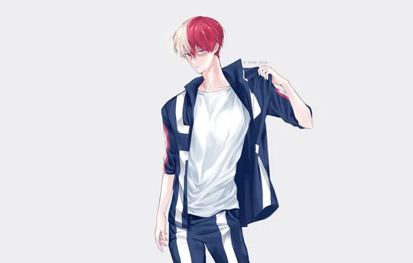 Guy, sweatshirt, Boku No Hero Academy, Todoroki Shoto, My Hero Academy