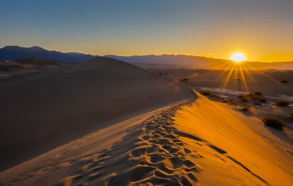 Sand, the sky, the sun, rays, desert, dunes