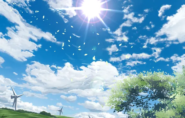 Picture the sky, the sun, nature, windmills