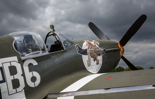Mustang, Screw, Fighter, USAF, The Second World War, North American P-51 Mustang, Wing, P-51B Mustang