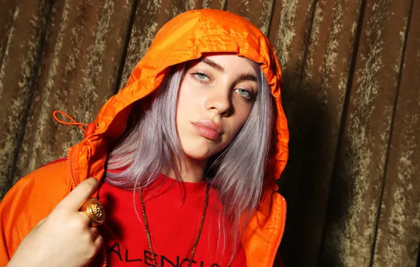 Hair, blonde, singer, singer, Billie Eilish, Billy Iles