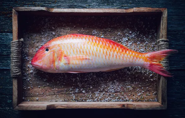 Goldfish, spices, salt