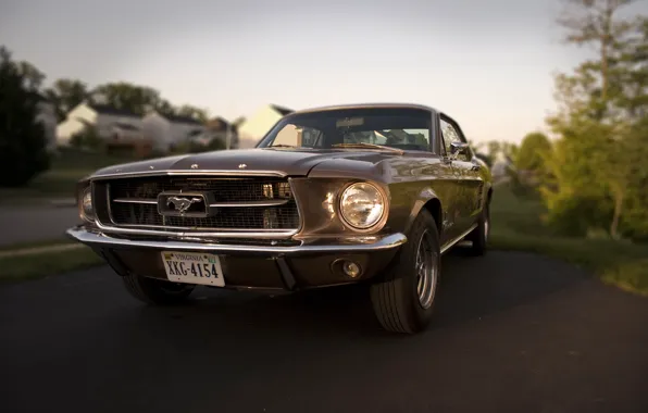 Picture Mustang, Ford, 1967