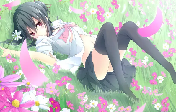 Picture girl, flowers, glade, anime, petals, art, form, schoolgirl