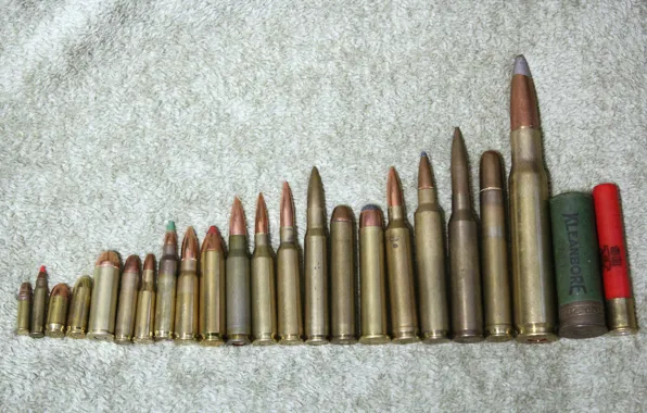 Picture weapons, cartridges, caliber, comparison, foto Brandon Pringle, .218 bee, 5.56(.223), 50 bmg API