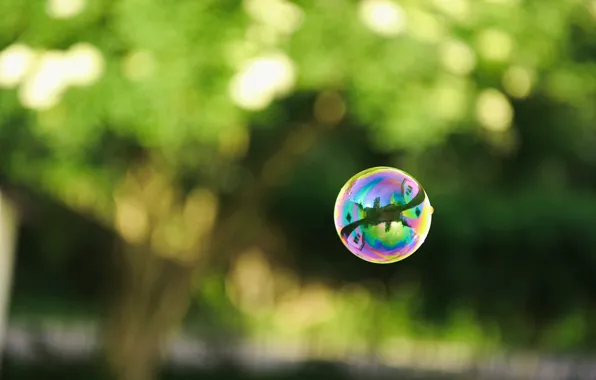 Greens, reflection, photo, ball, bubble, soap