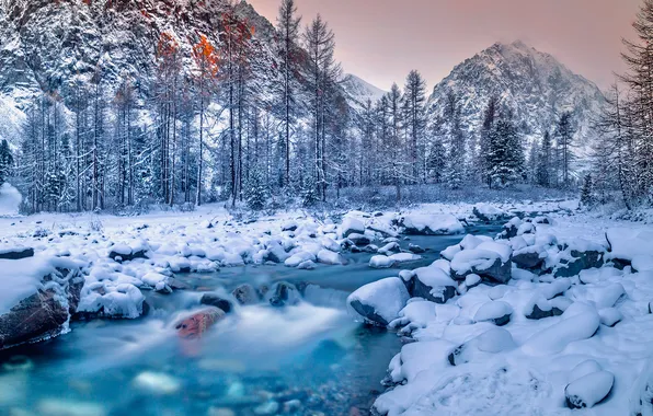 Winter, snow, trees, mountains, river, stones, Russia, Altay