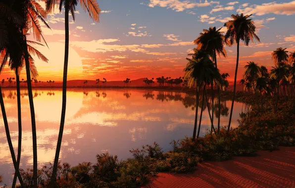 The sun, view, panorama, incredibly