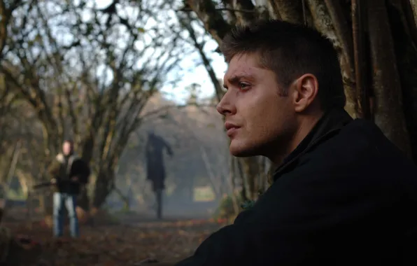The series, Dean, Supernatural, Supernatural, Winchester