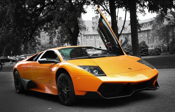 Orange, cars, auto, Lamborghini Murcielago, LP670-4