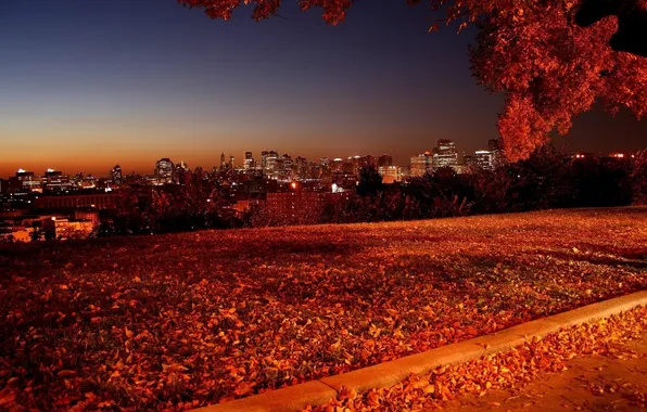 Picture autumn, the sky, light, landscape, night, nature, the city, street