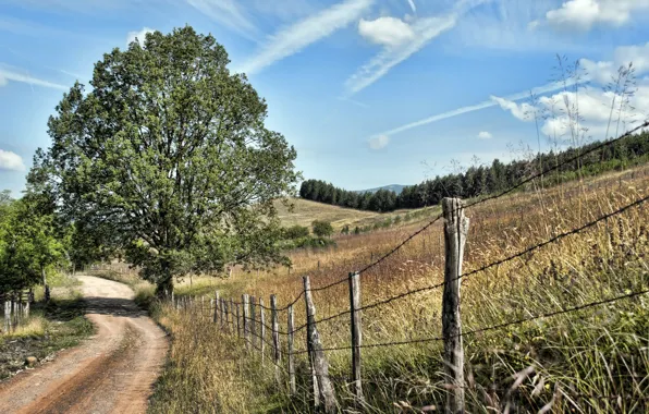 Picture Mionica, Down the Road, Serbia