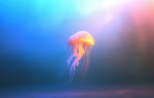 Ocean, ai art, medusa