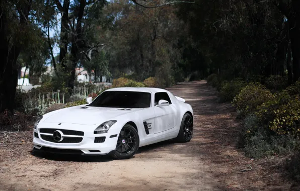 Picture white, trees, white, SLS AMG, Mercedes Benz, front view, toned, black rims