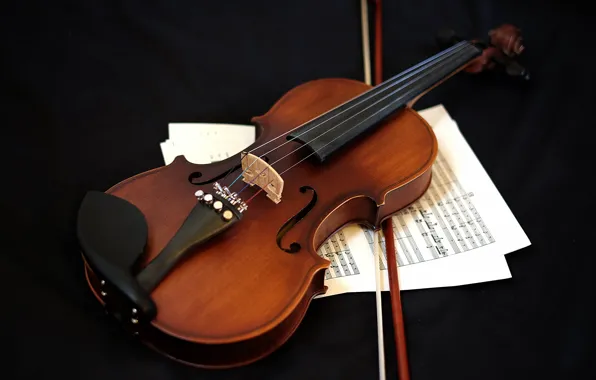 Music, violin, musical instrument