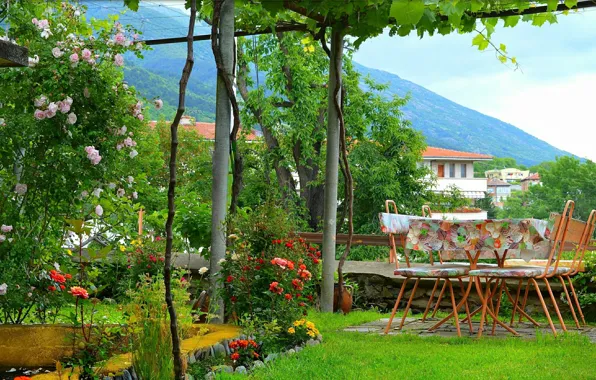 Picture Table, Summer, Flowering, Summer, Chairs, Flowering, Patio