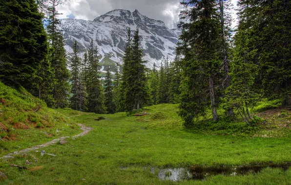 The sky, grass, trees, mountains, Austria, valley
