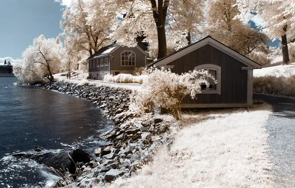 Trees, river, color, house