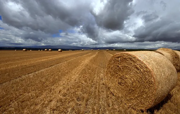 Picture field, the sky, clouds, dal, the harvest, the end of summer, time, rolls