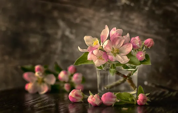 Picture flowers, background, petals