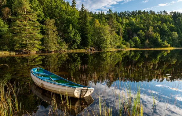 Picture forest, lake, reflection, boat, Norway