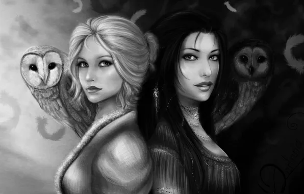 Look, girls, brunette, art, blonde, black and white, owls, Yin-Yang