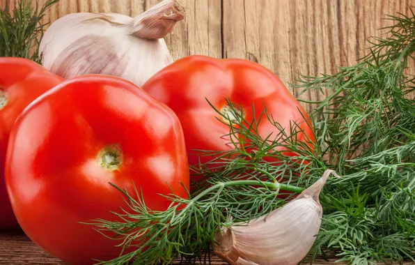 Picture dill, tomatoes, garlic