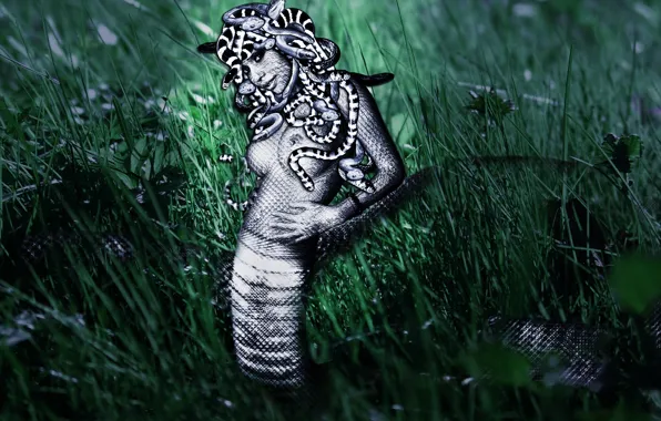 Download wallpaper grass, girl, snake, Medusa, section fantasy in ...