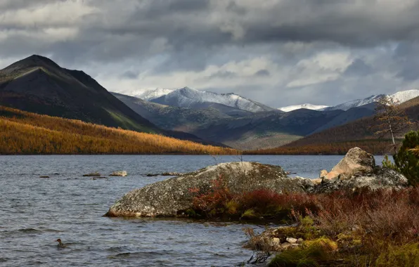 Picture autumn, forest, the sky, clouds, mountains, overcast, hills, shore