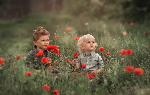 Summer, look, flowers, children, mood, glade, Maki, child