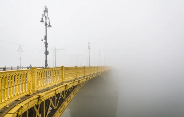Fog, Budapest, Margaret Bridge