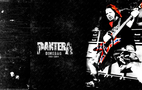 Picture metal, Dimebag Darrell, band, Pantera