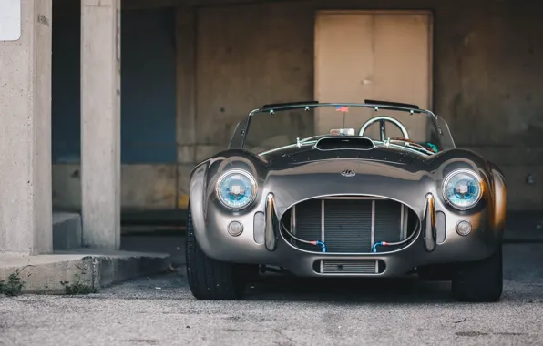 Shelby, the front, Cobra